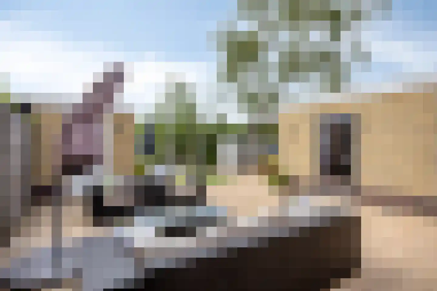 de Kogge 12 Muiden thumbnail 32