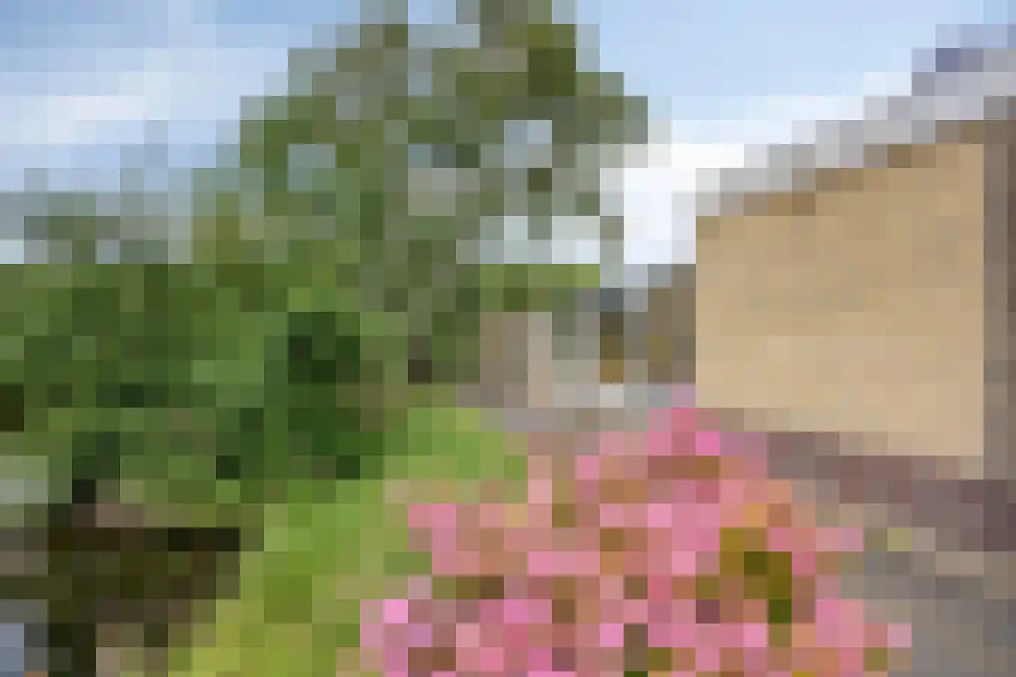 de Kogge 12 Muiden thumbnail 36