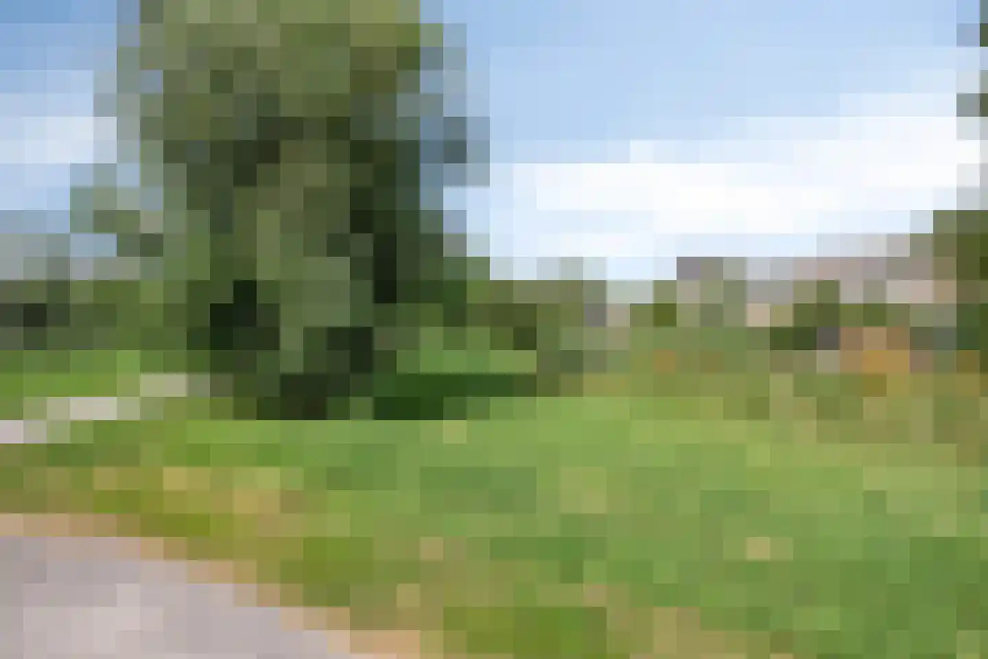 de Kogge 12 Muiden thumbnail 41