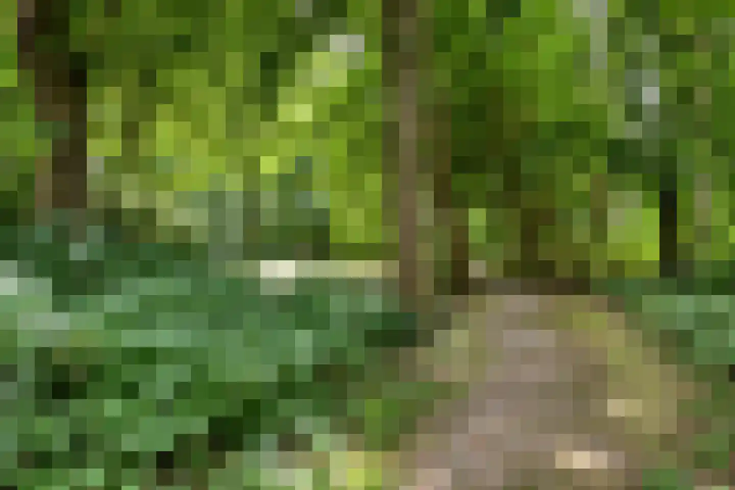 de Kogge 12 Muiden thumbnail 44
