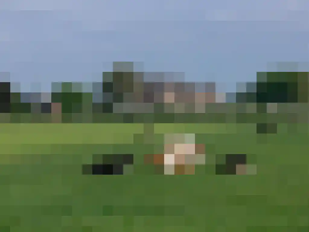 de Kogge 12 Muiden thumbnail 48