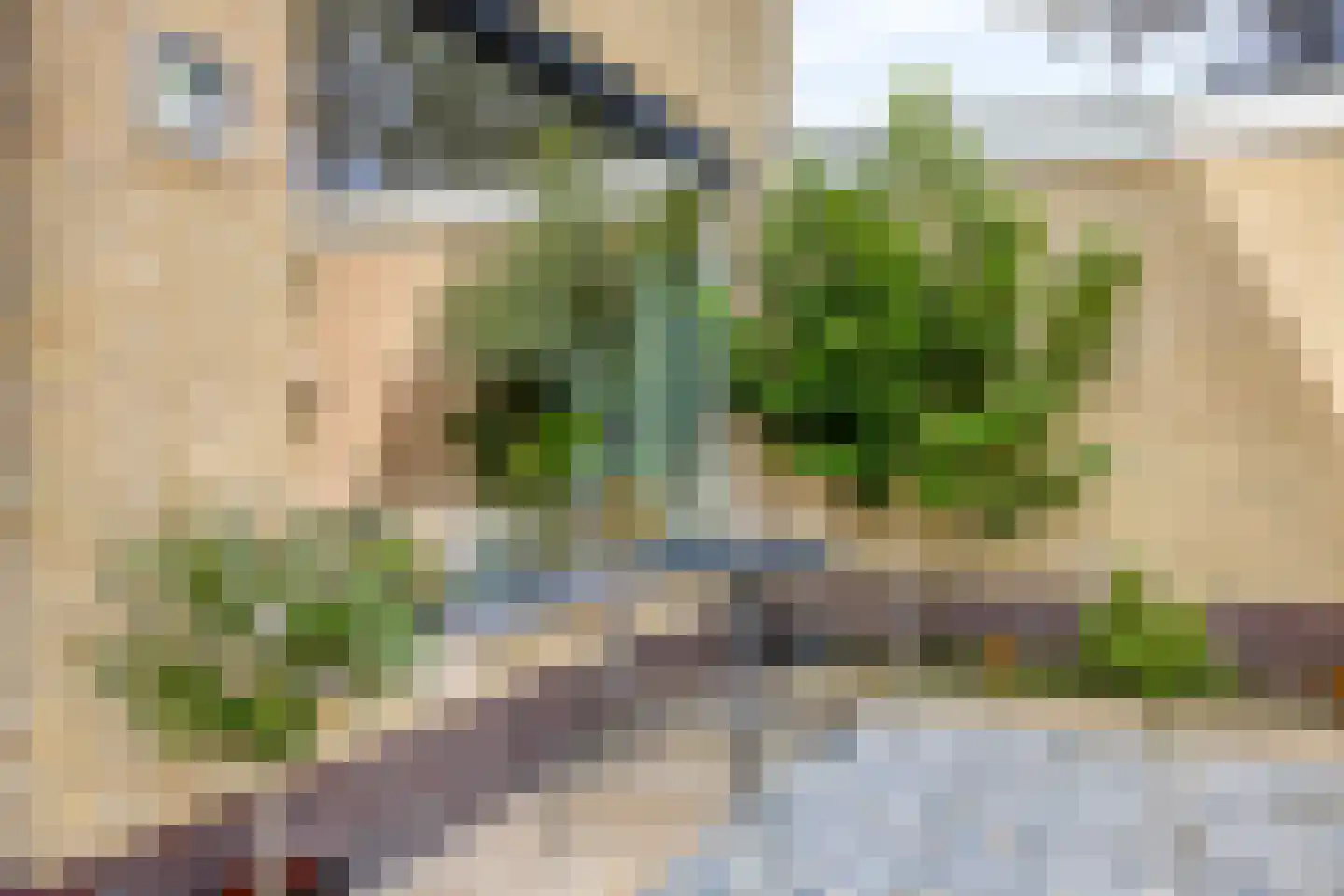 de Kogge 12 Muiden thumbnail 9