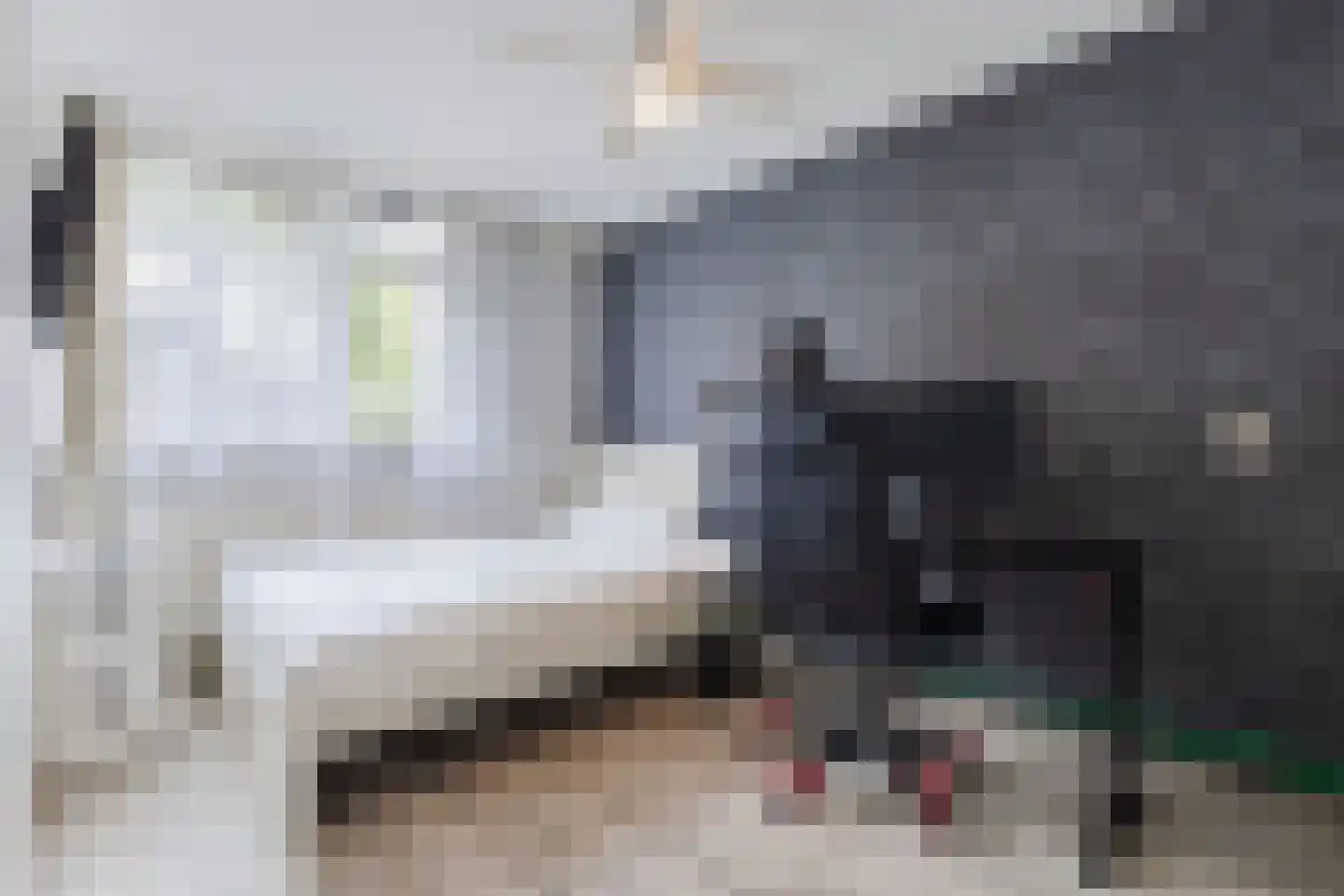 de Kogge 123 Tiel thumbnail 23