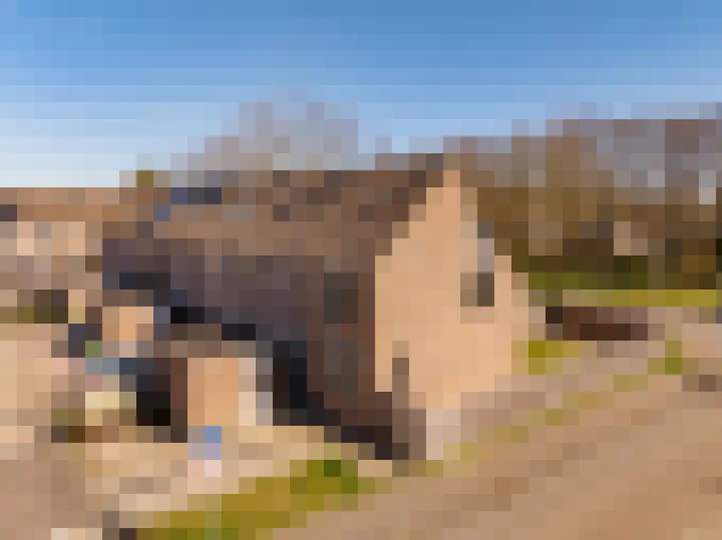 De Kogge 2 Hoogeveen thumbnail 36