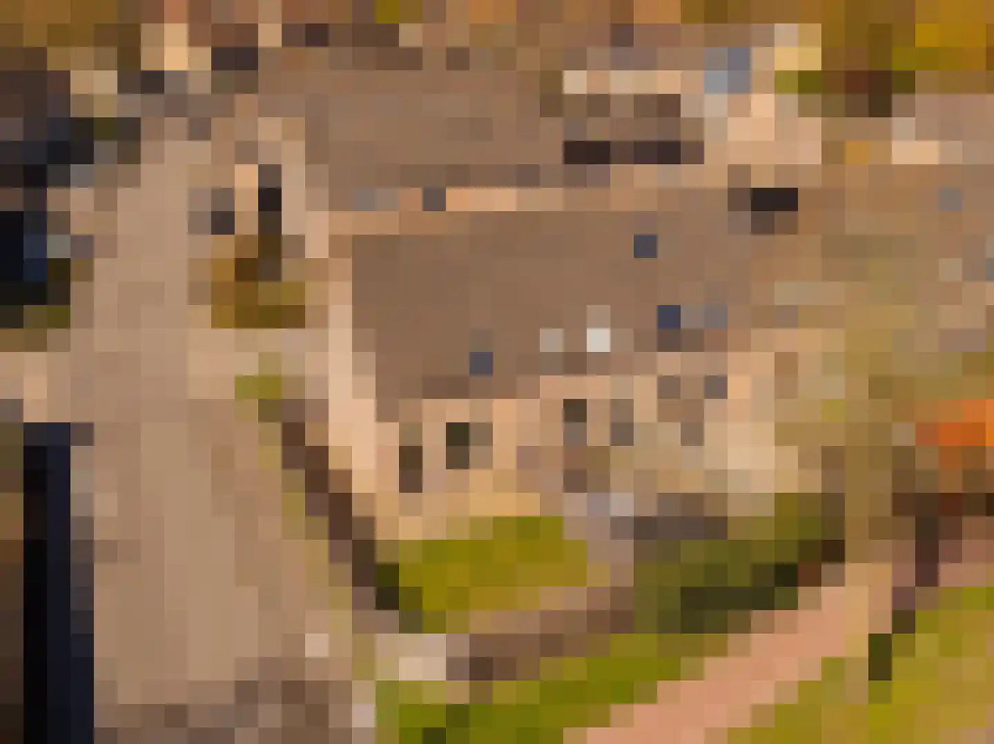 De Kogge 2 Hoogeveen thumbnail 37