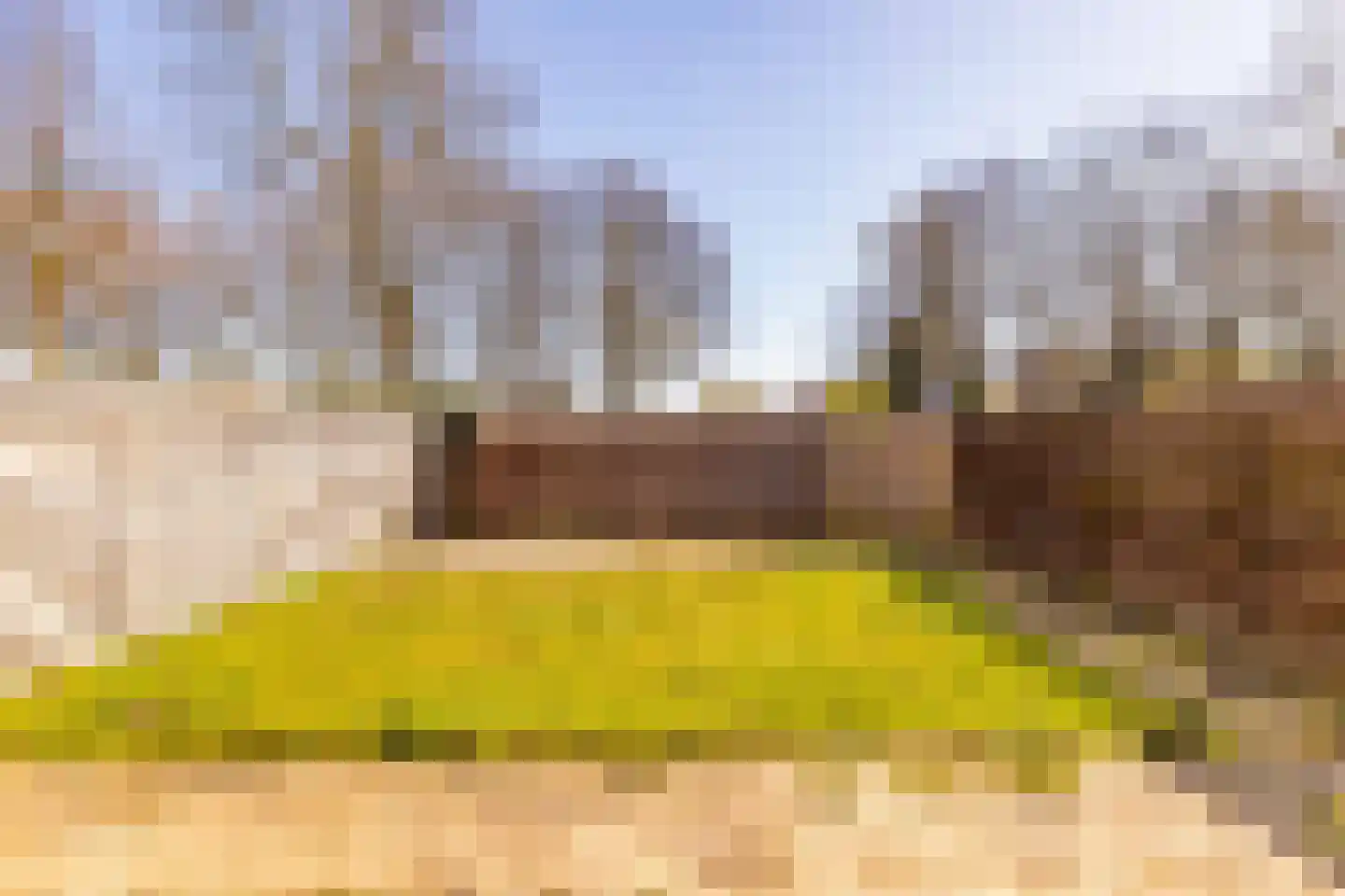 De Kogge 2 Hoogeveen thumbnail 5