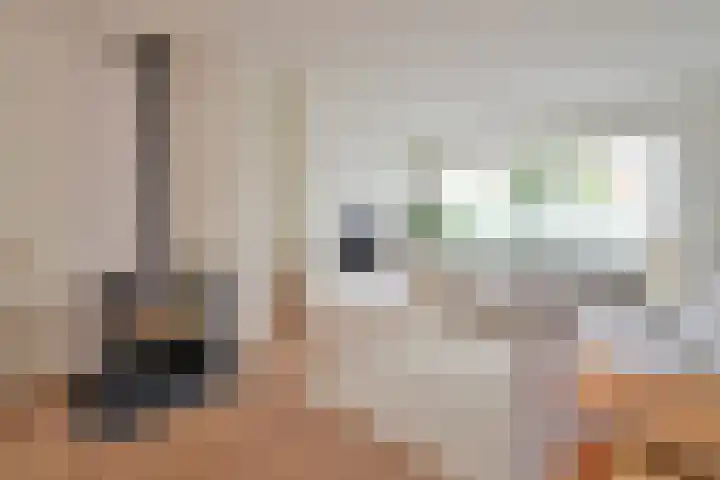 de Kogge 24 Muiden thumbnail 11