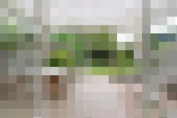 de Kogge 24 Muiden thumbnail 13