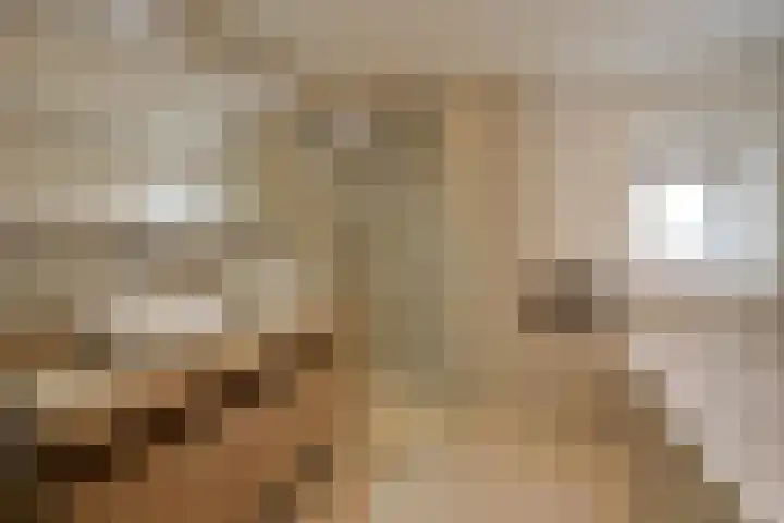 de Kogge 24 Muiden thumbnail 19