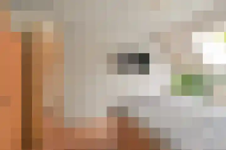 De Kogge 6 Hoogeveen thumbnail 22