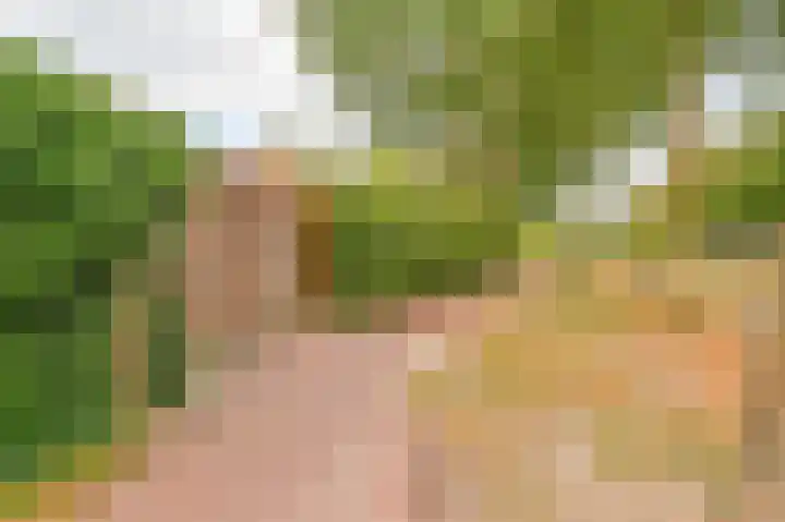 De Kogge 6 Hoogeveen thumbnail 42