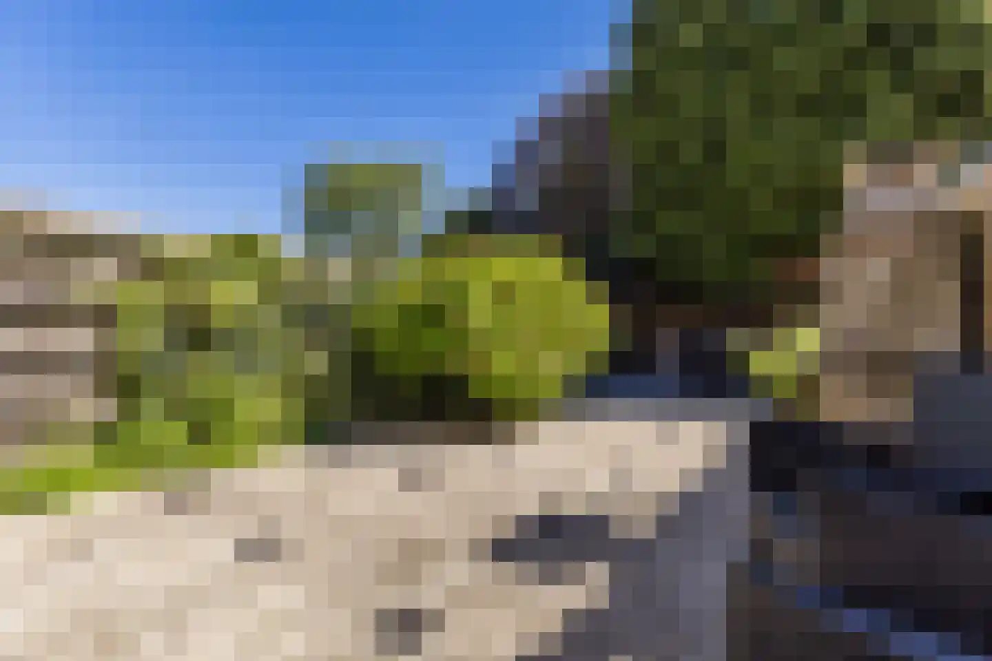 de Kogge 61 Tiel thumbnail 43