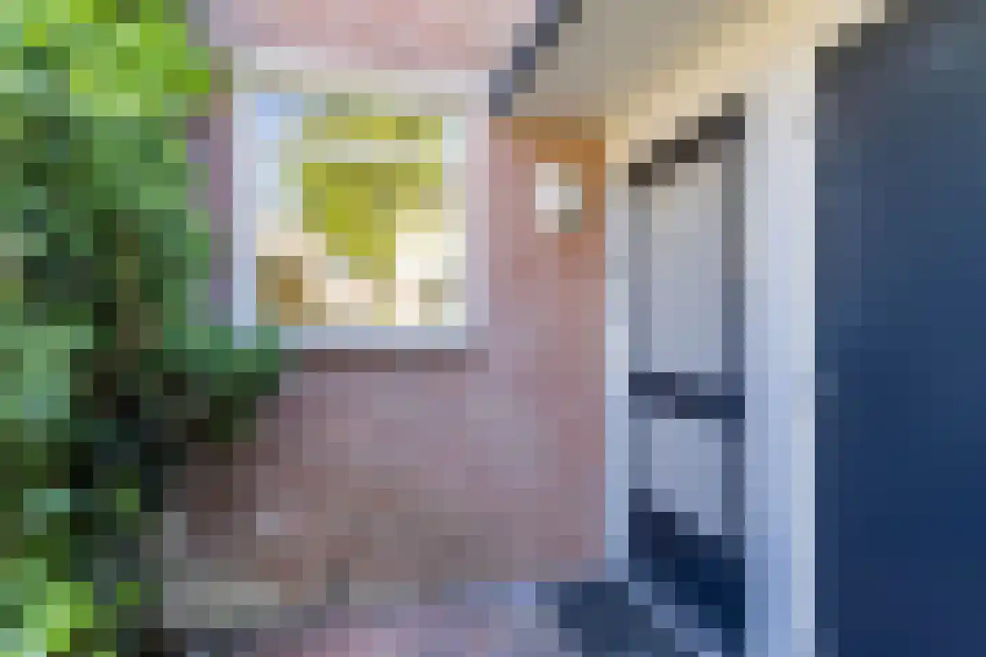 de Kogge 61 Tiel thumbnail 55