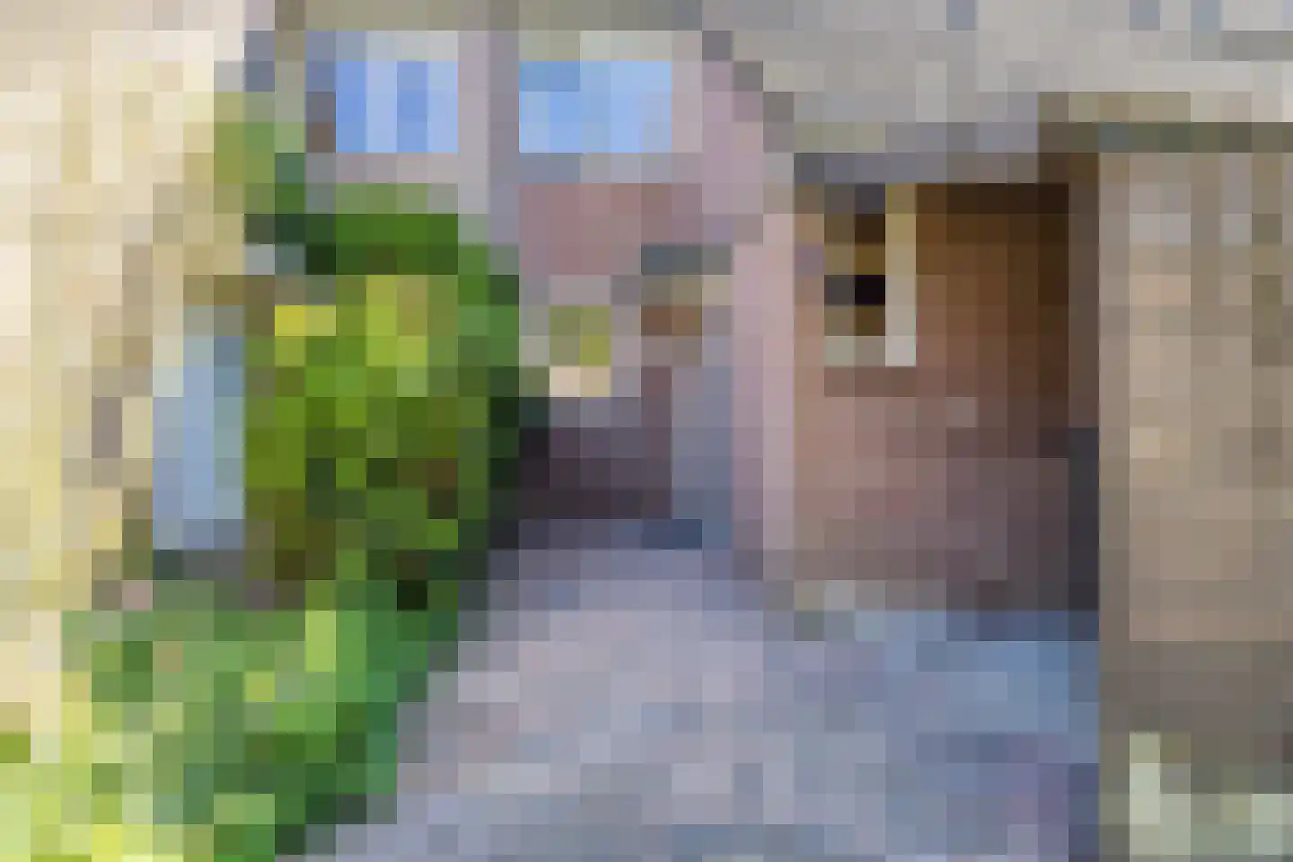 de Kogge 61 Tiel thumbnail 7
