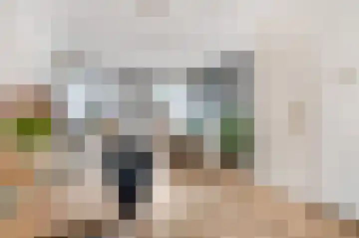 de Kogge 65 Tiel thumbnail 10