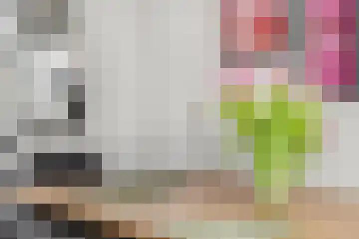 de Kogge 65 Tiel thumbnail 11