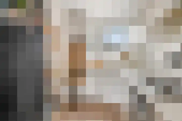 de Kogge 65 Tiel thumbnail 17