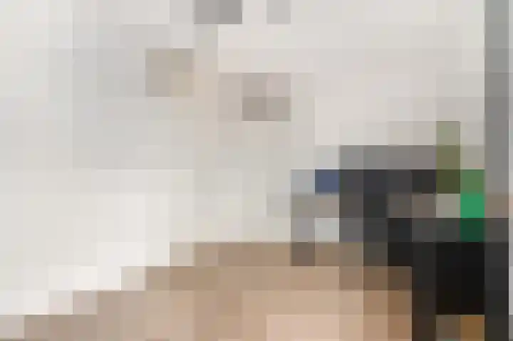 de Kogge 65 Tiel thumbnail 24