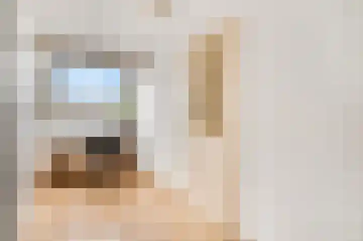 de Kogge 65 Tiel thumbnail 30