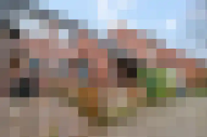 de Kogge 65 Tiel thumbnail 36