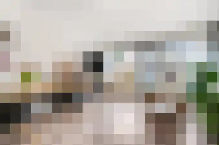 de Kogge 65 Tiel thumbnail 7