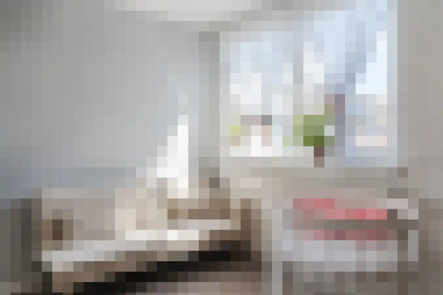 de Kogge 79 Tiel thumbnail 23
