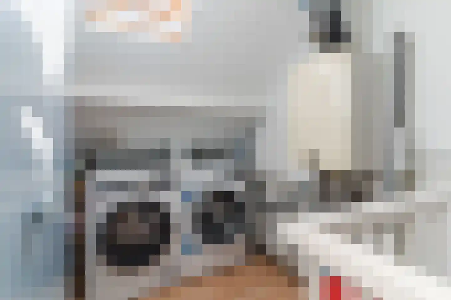 de Kogge 79 Tiel thumbnail 35