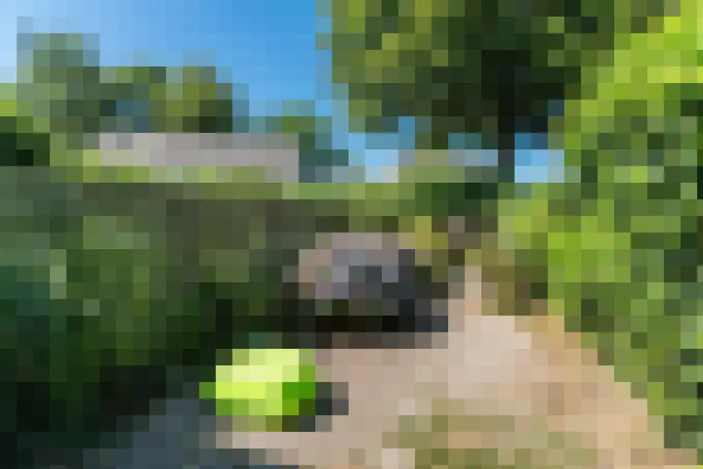 de Kogge 79 Tiel thumbnail 39