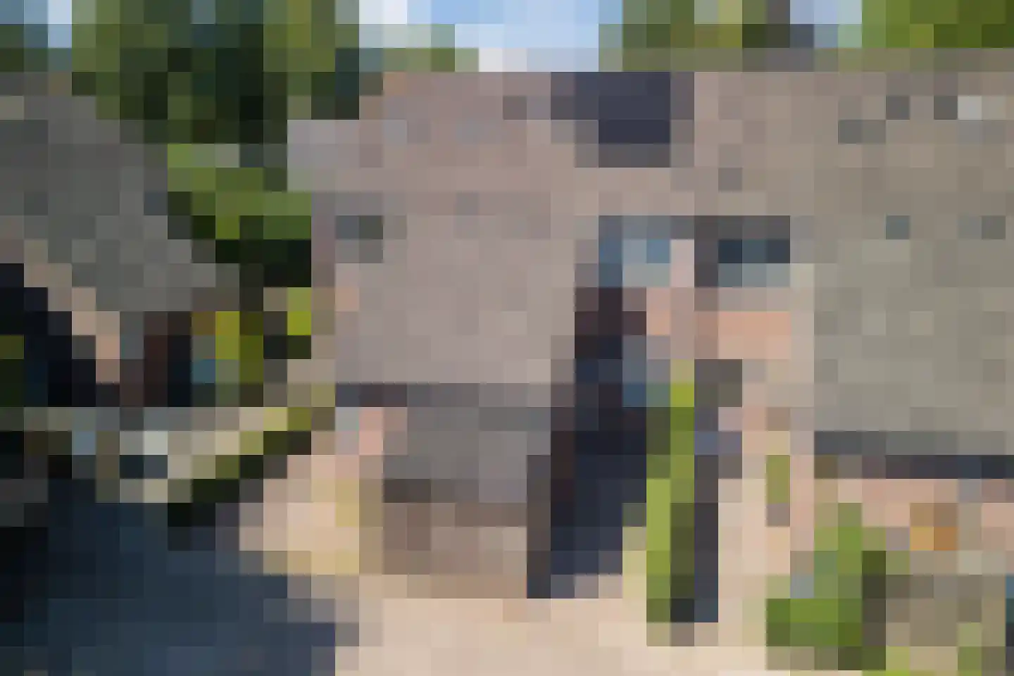de Kogge 79 Tiel thumbnail 48
