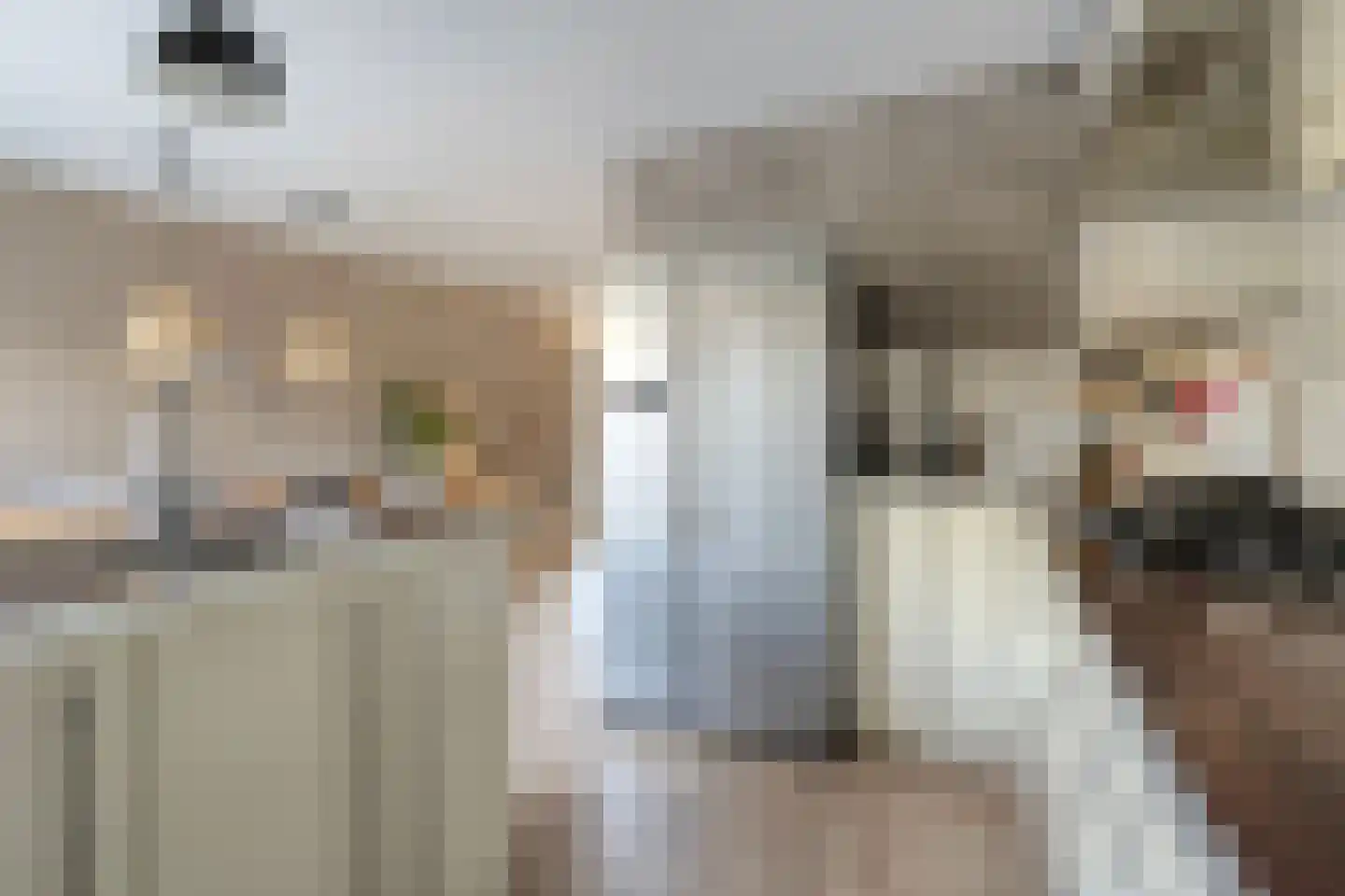 De Kolibrie 8 Almelo thumbnail 10