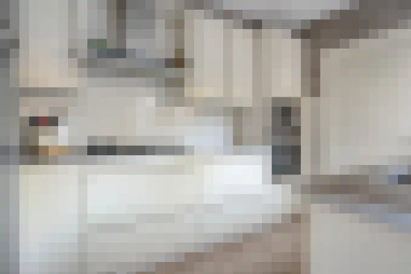 De Kolibrie 8 Almelo thumbnail 11