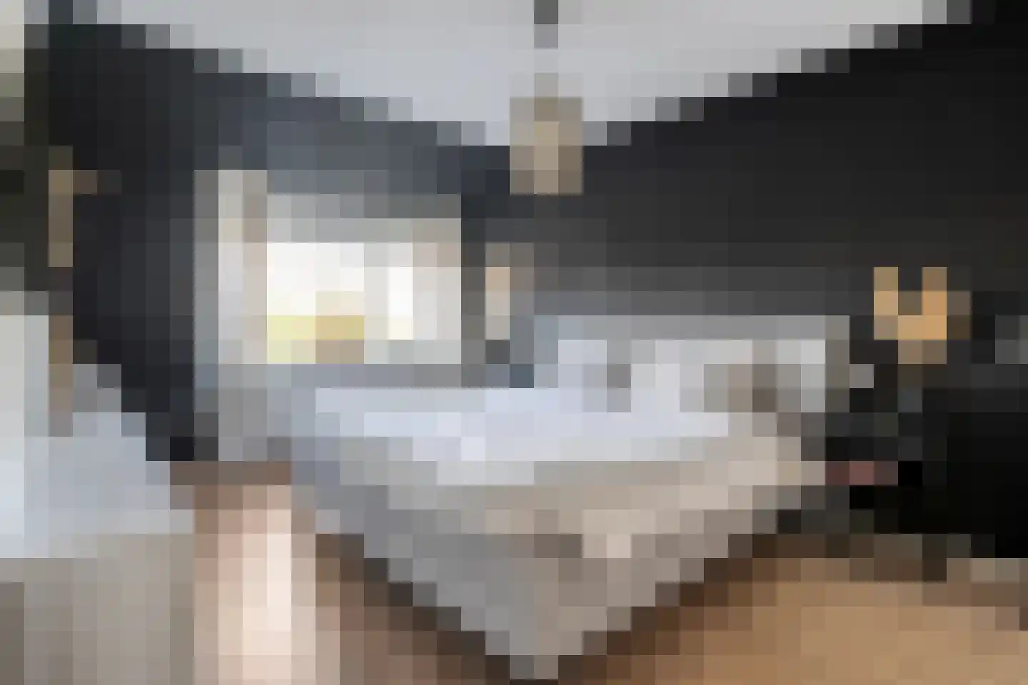 De Kolibrie 8 Almelo thumbnail 18