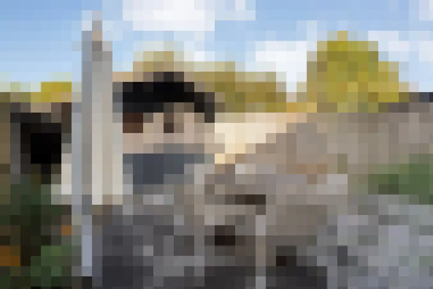 De Kolibrie 8 Almelo thumbnail 31