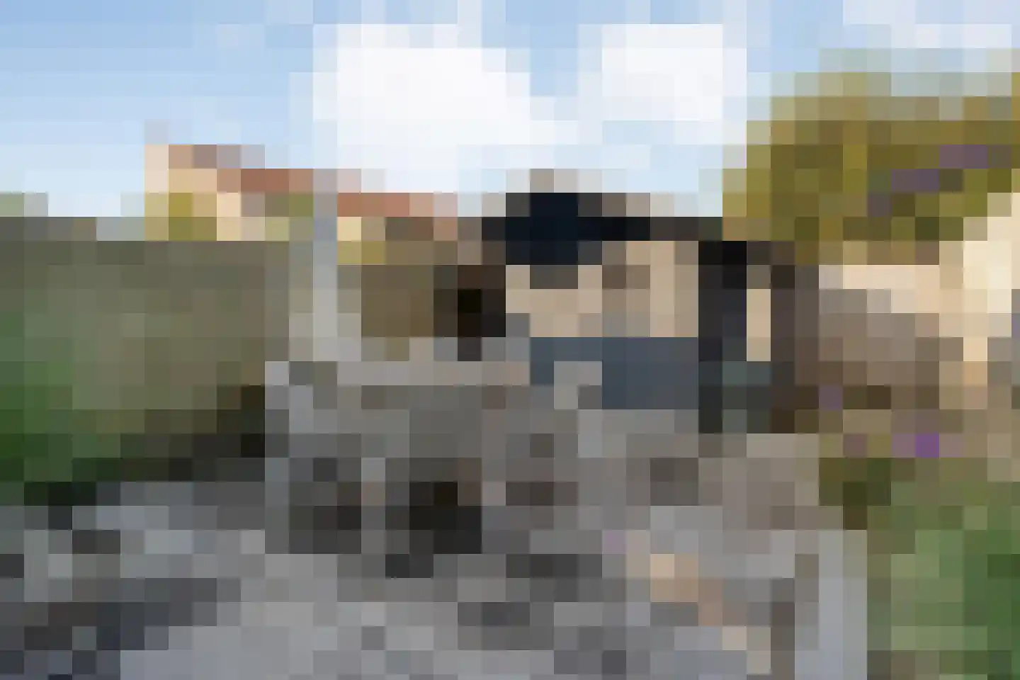 De Kolibrie 8 Almelo thumbnail 32