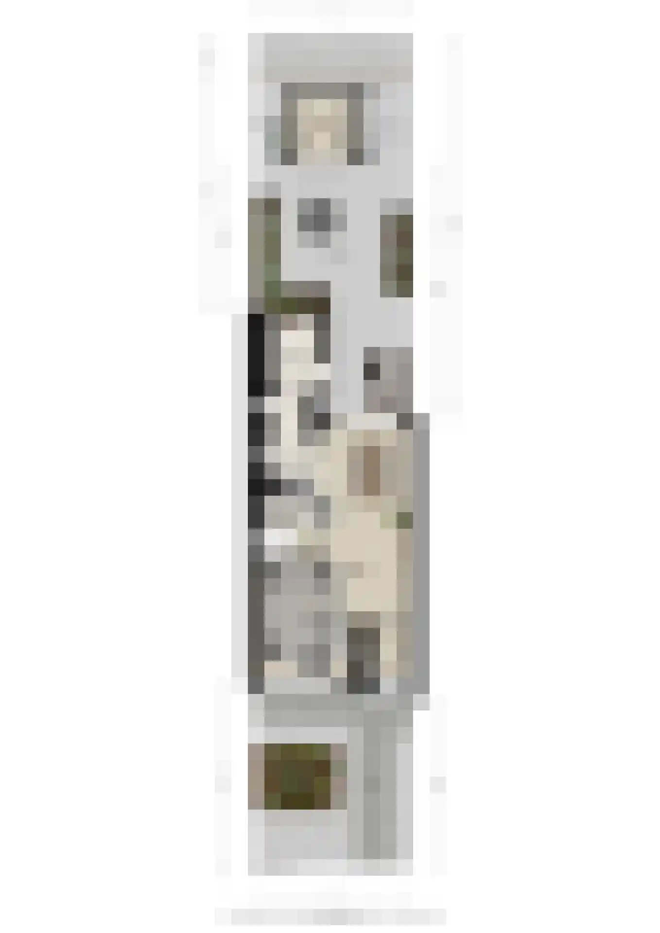 De Kolibrie 8 Almelo thumbnail 44