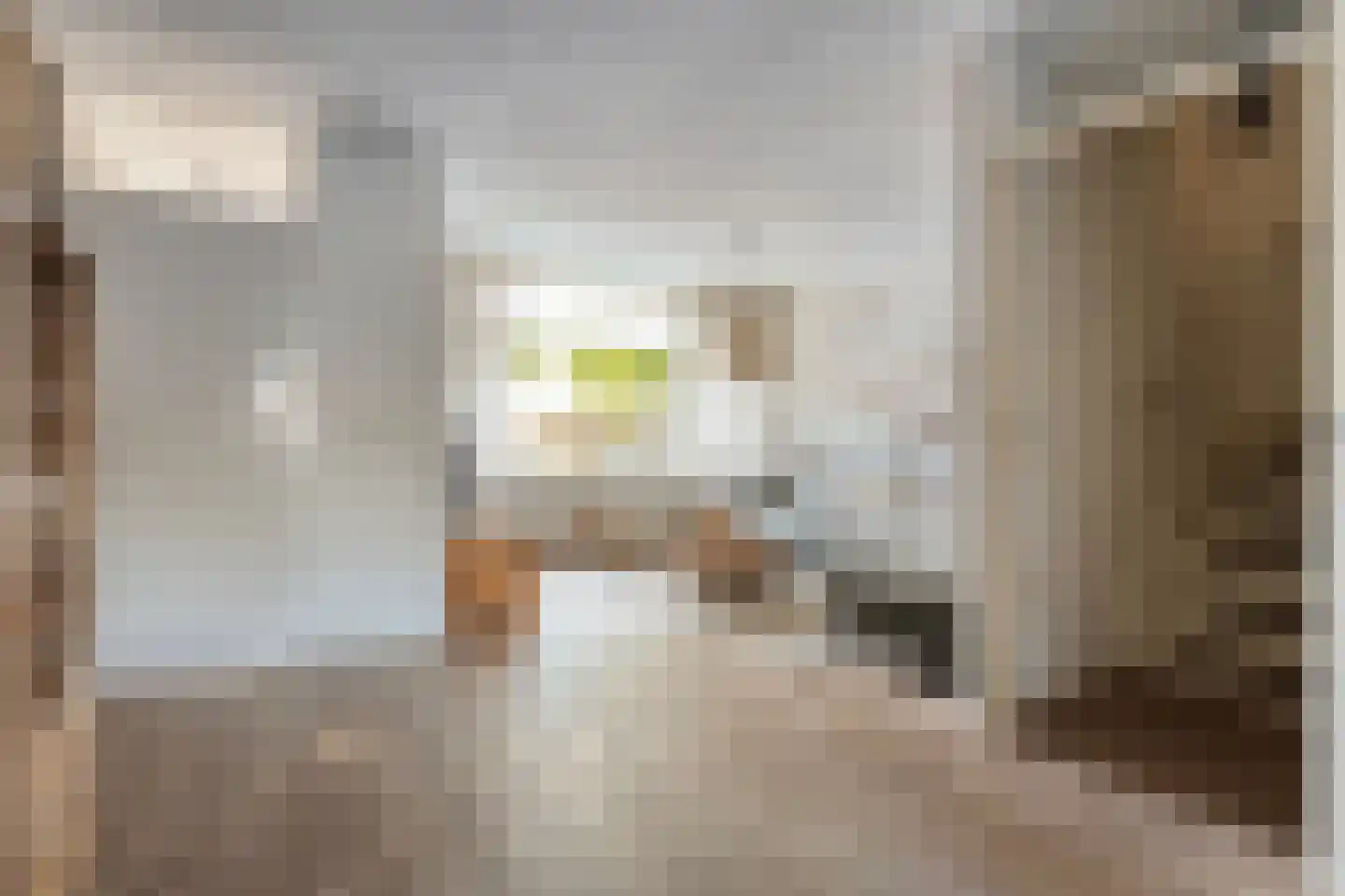 De Kolibrie 8 Almelo thumbnail 5