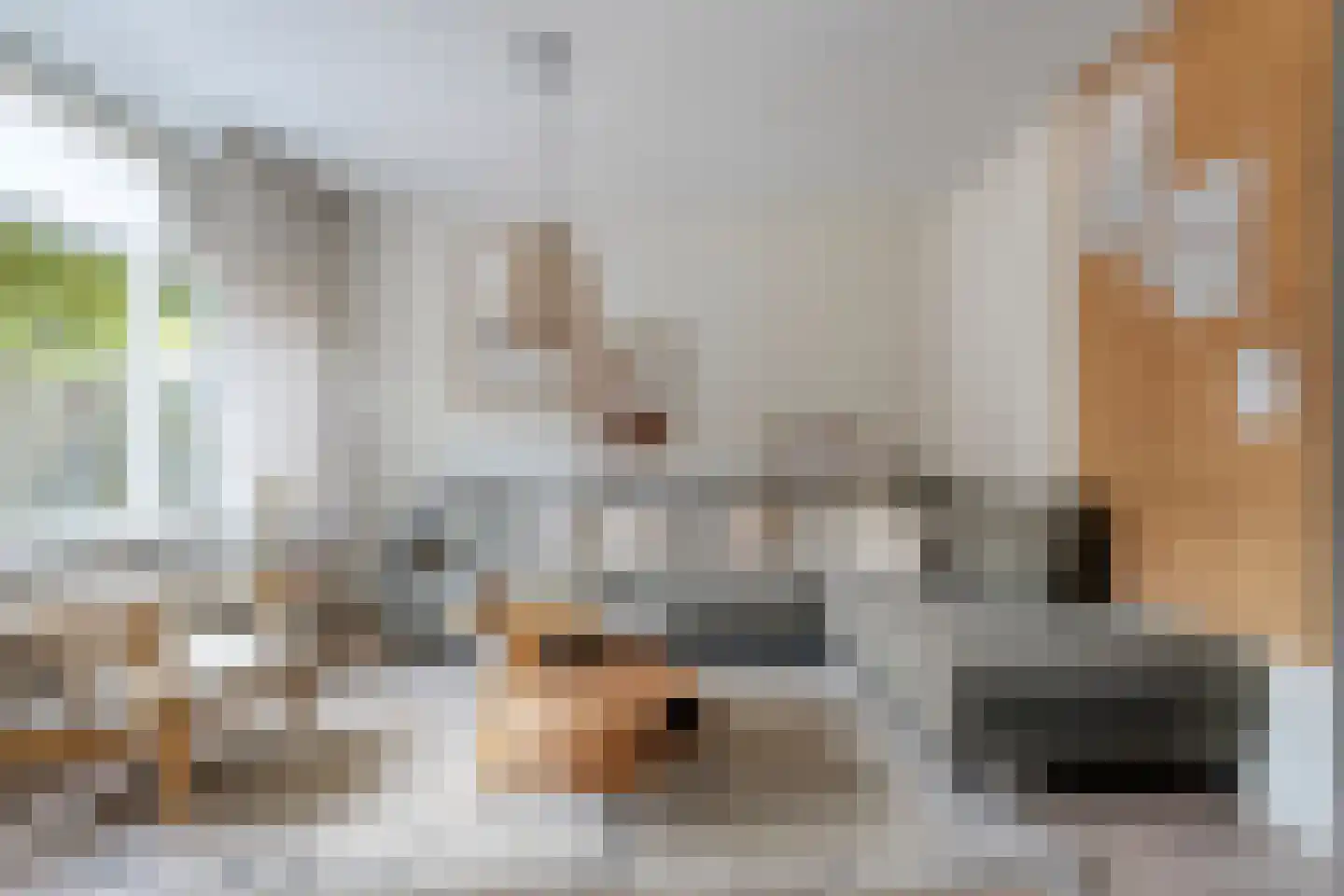 De Kolibrie 8 Almelo thumbnail 7