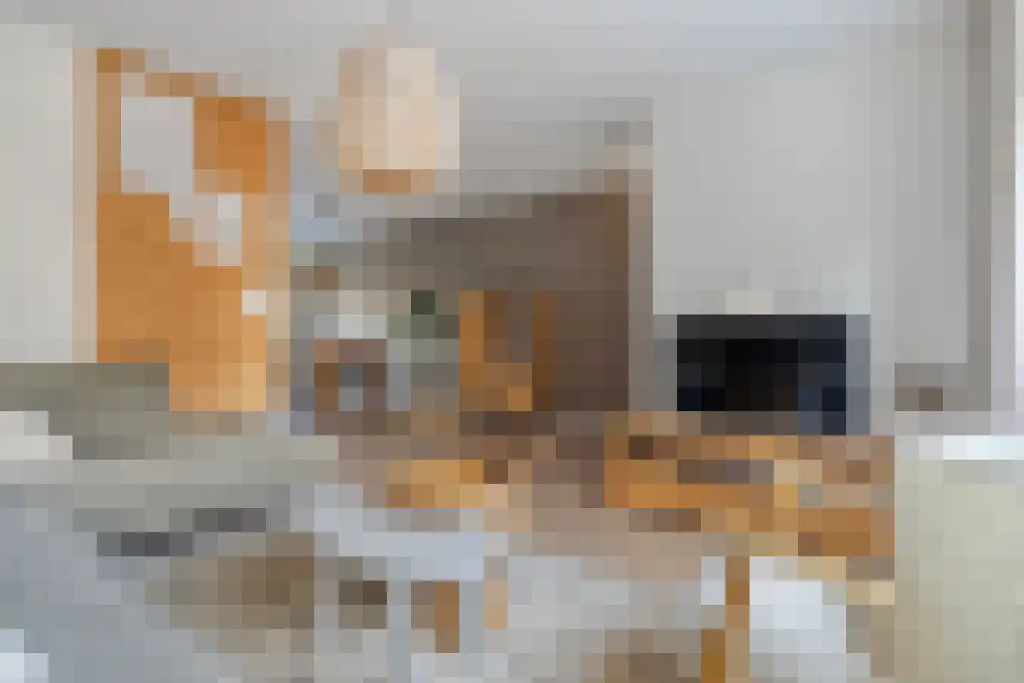 De Kolibrie 8 Almelo thumbnail 8