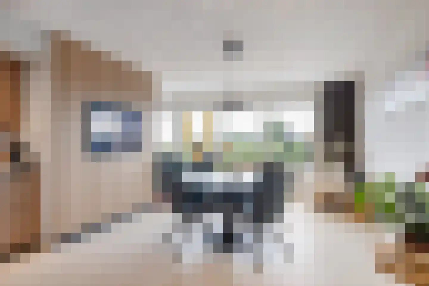De Kolk 10 Woudsend thumbnail 19