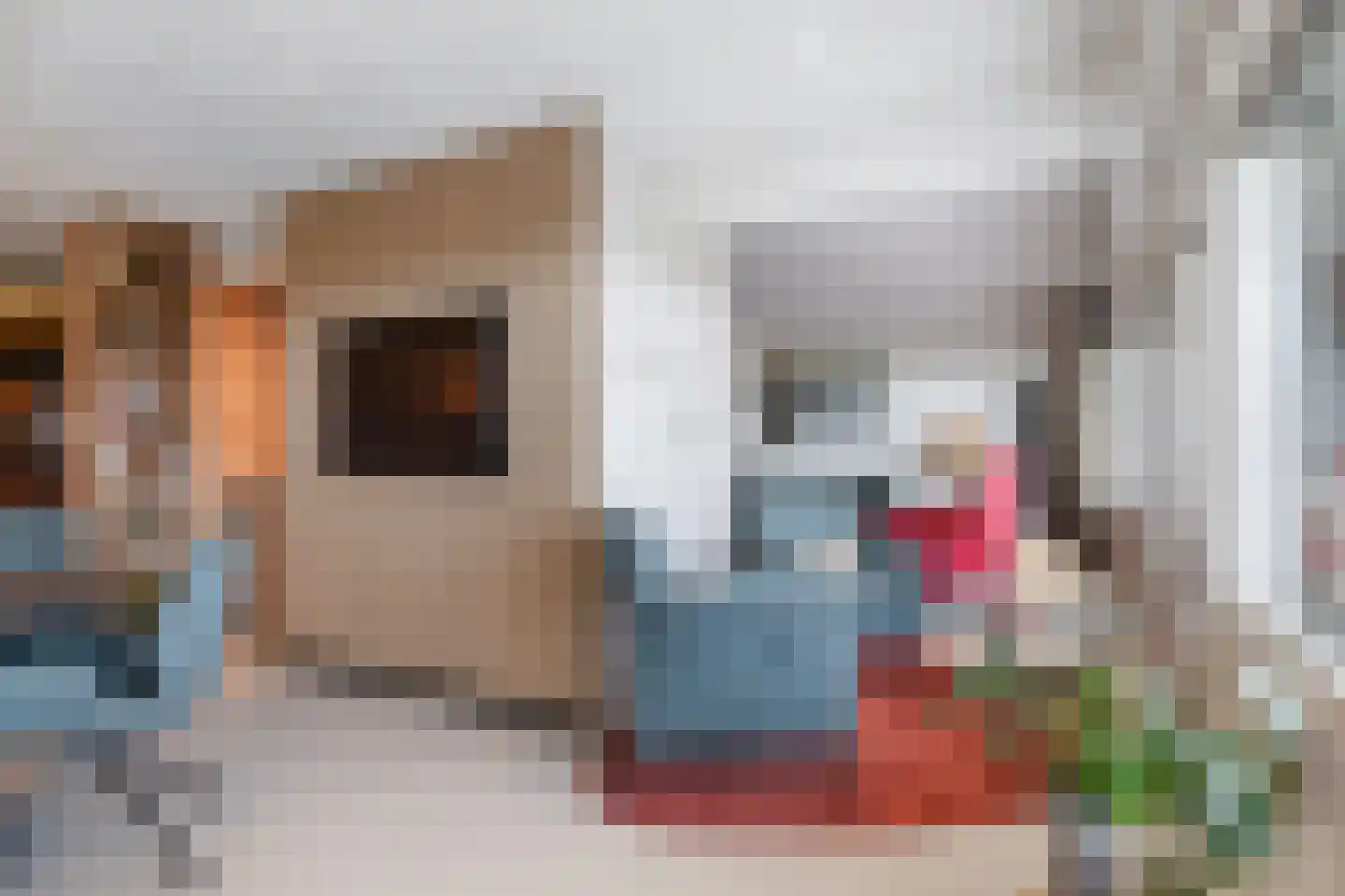 De Kolk 10 Woudsend thumbnail 22