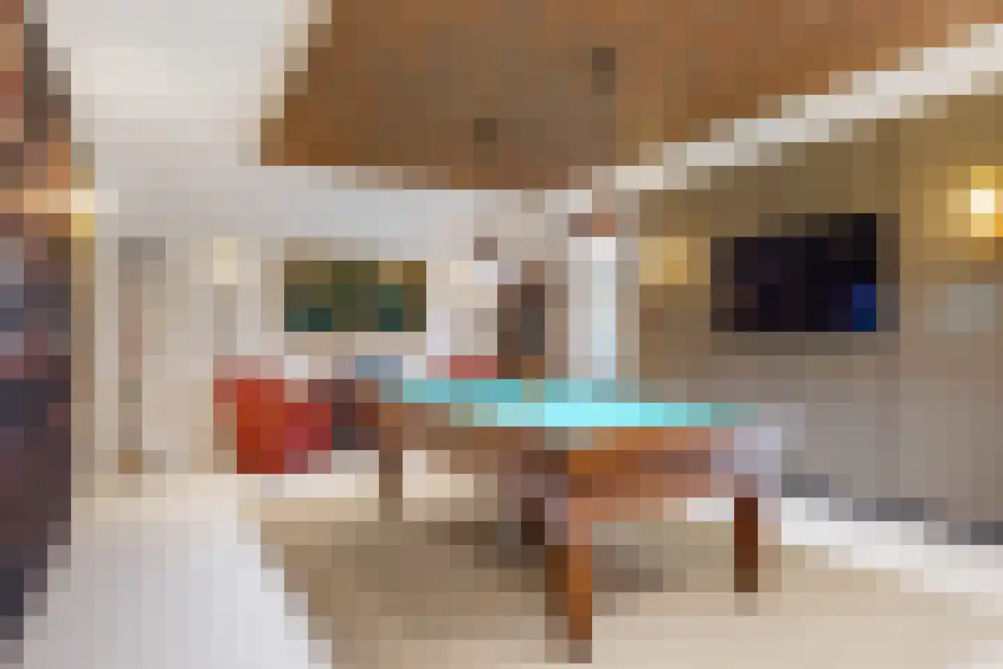 De Kolk 10 Woudsend thumbnail 23