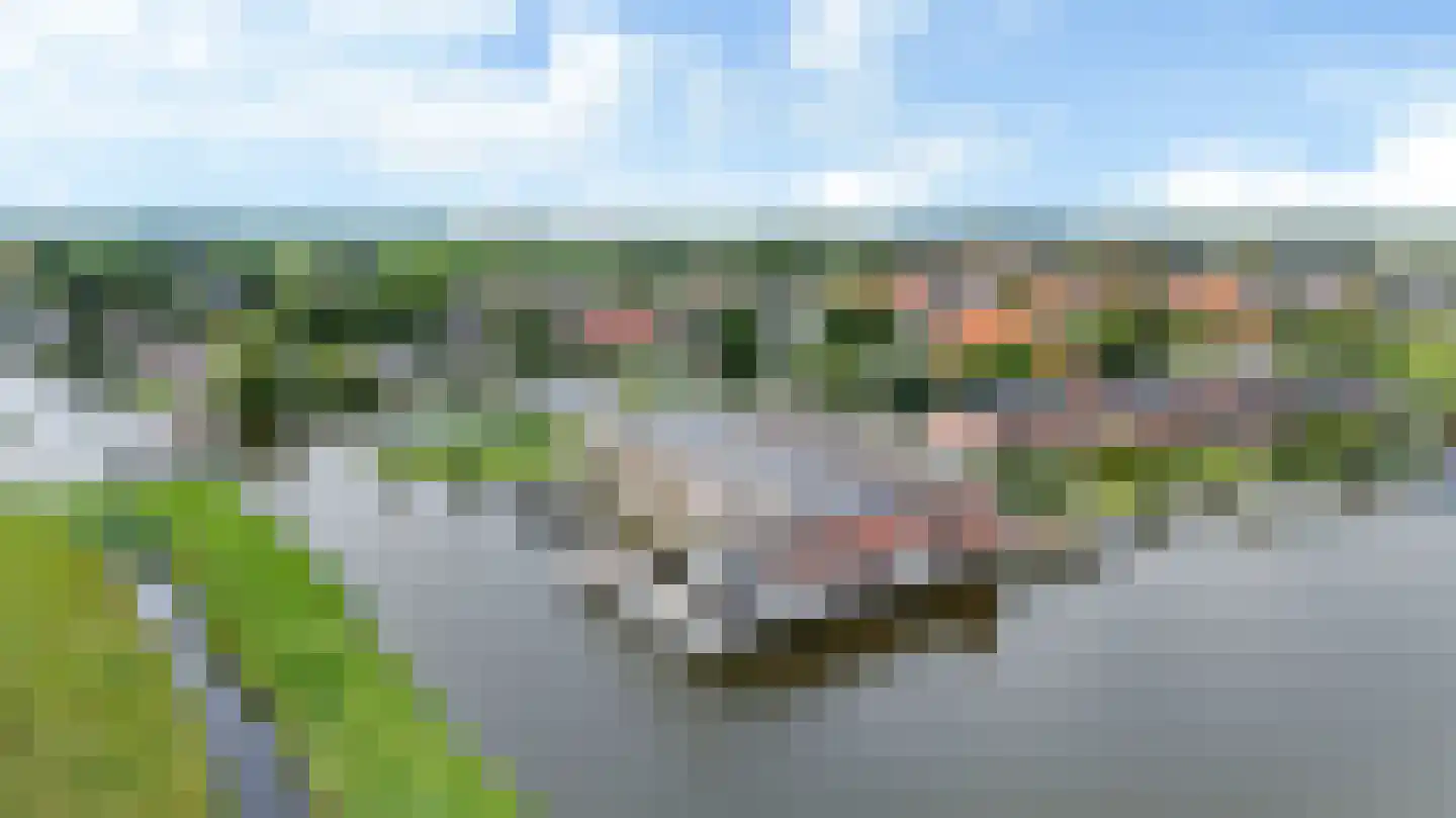 De Kolk 10 Woudsend thumbnail 48
