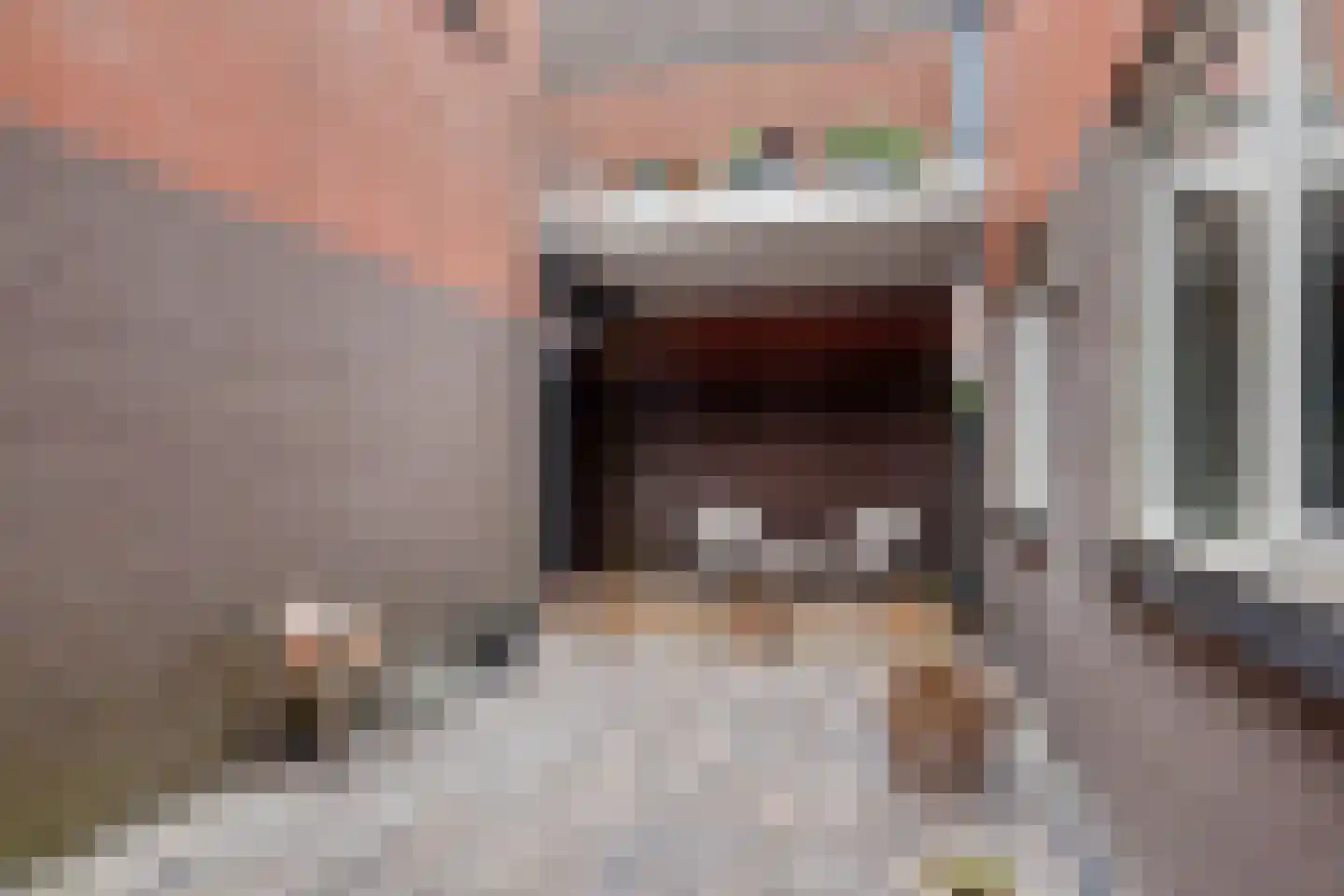 De Kolk 10 Woudsend thumbnail 7