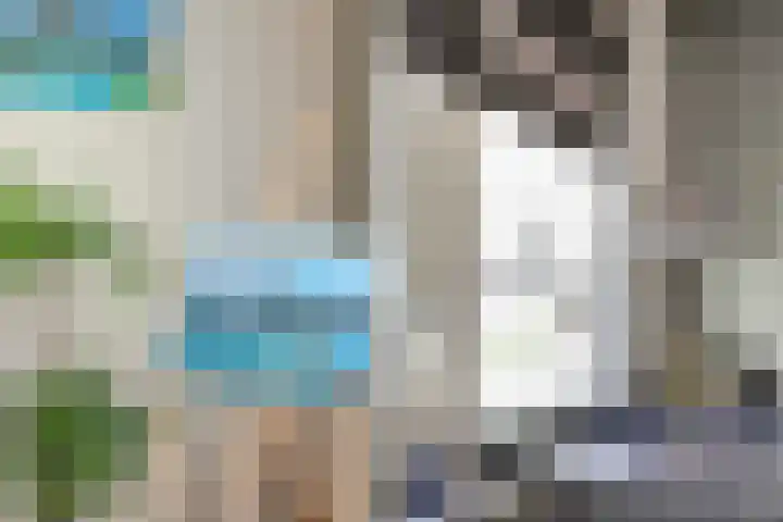 de Kolk 12 Oudebildtzijl thumbnail 10