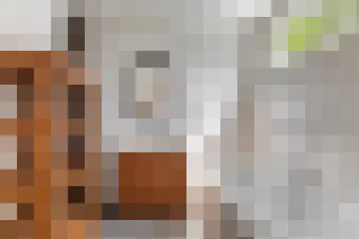 de Kolk 12 Oudebildtzijl thumbnail 13