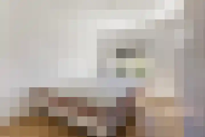 de Kolk 12 Oudebildtzijl thumbnail 15