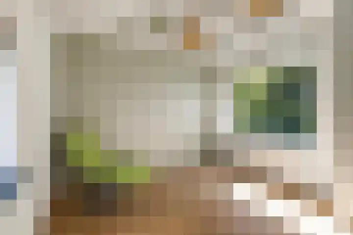 de Kolk 12 Oudebildtzijl thumbnail 17