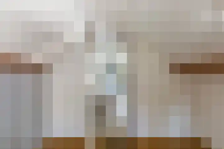 de Kolk 12 Oudebildtzijl thumbnail 22