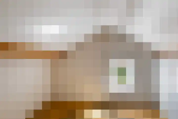 de Kolk 12 Oudebildtzijl thumbnail 23