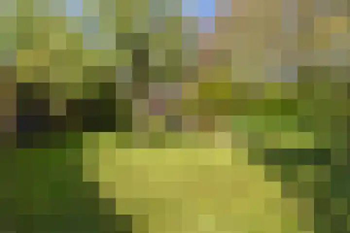 de Kolk 12 Oudebildtzijl thumbnail 29